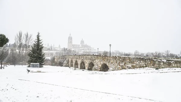 Neve Cidade Salamanca 2021 Espanha Acontecimento Muito Raro — Fotografia de Stock