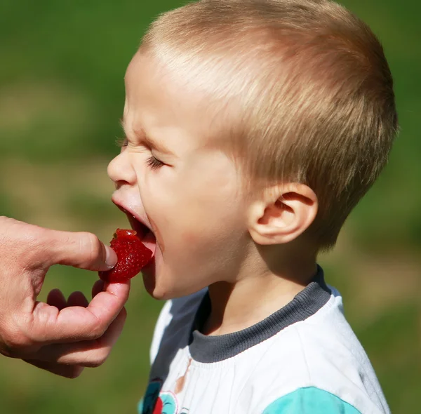 Ragazzo mangiare fragola — Foto Stock