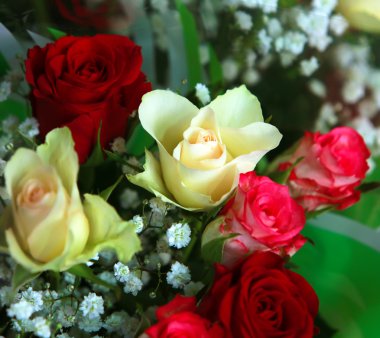 Çiçekler dükkanda.