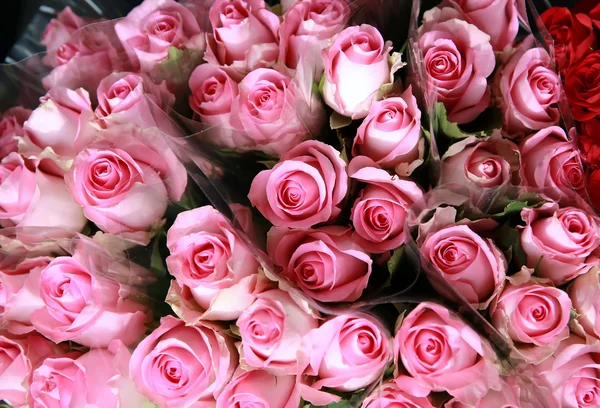 Květiny v obchodě — Stock fotografie