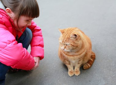Kedi ile sokakta konuşan kız