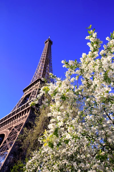 Turnul Eiffel în primăvară, Paris, Franța — Fotografie, imagine de stoc