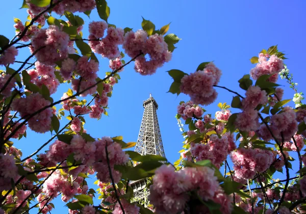 Πύργος Του Άιφελ Στην Άνοιξη Παρίσι Γαλλία — Φωτογραφία Αρχείου