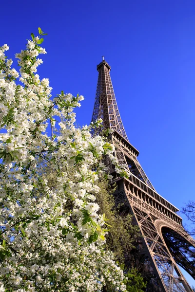 春の時間 フランスでエッフェル塔 — ストック写真