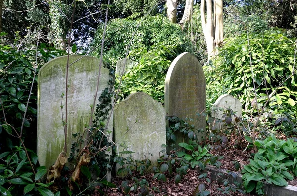 Trree Gravestones nel cimitero inglese — Foto Stock