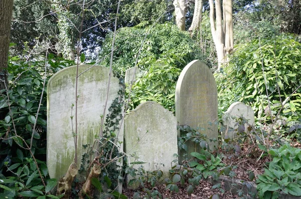 Pequeno grupo de Gravestones ingleses — Fotografia de Stock