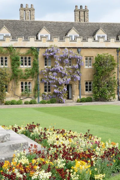 Universiteit van Cambridge binnenplaats met bloemen — Stockfoto