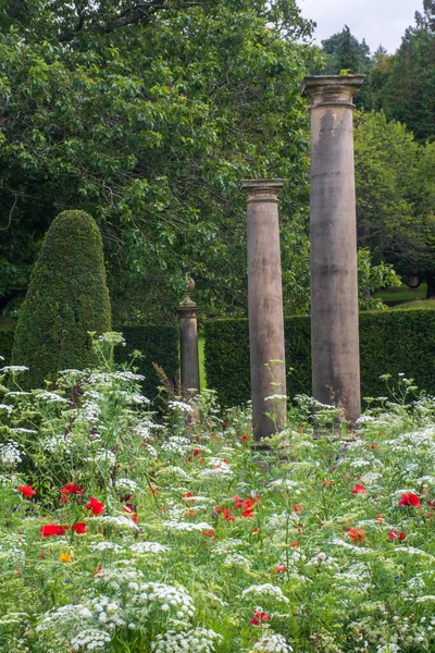 Vita Och Röda Blommor Med Pelare Stor Trädgård — Stockfoto