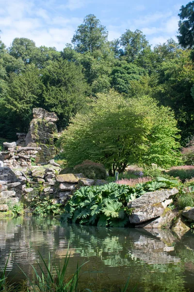 Nog Steeds Zwembad Tuin Met Grote Rots Gunnera Plant — Stockfoto