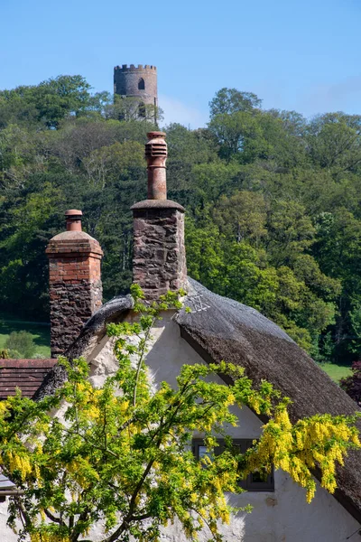 Engels Thatched Cottage Met Wisteria Tree — Stockfoto