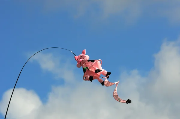 Nouveauté cochon cerf-volant volant — Photo