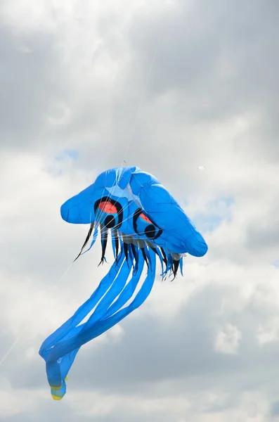 Blue Jellyfish novelty kite — Φωτογραφία Αρχείου