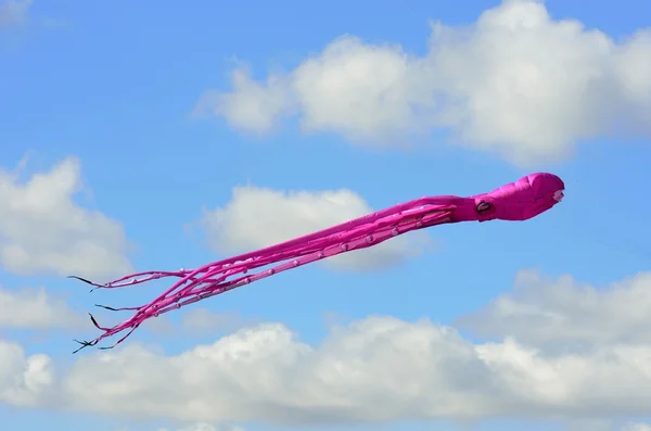 Paarse octopus kite — Stockfoto