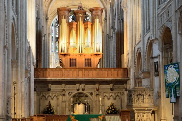 All'interno della cattedrale di Norwich — Foto Stock