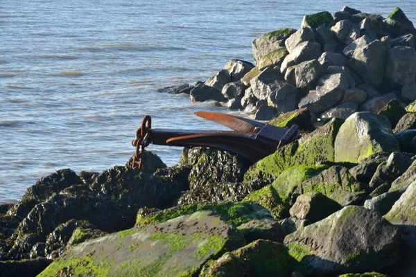 Rusty anchor on rocks — Stock Photo, Image