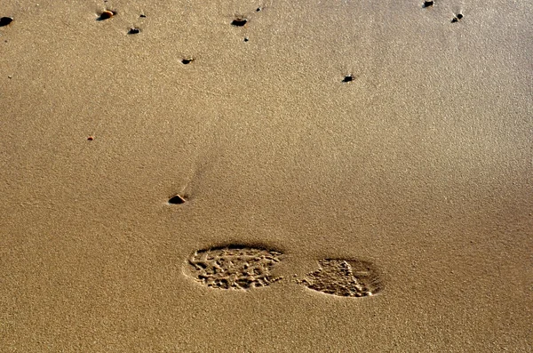 Pegada na areia húmida — Fotografia de Stock