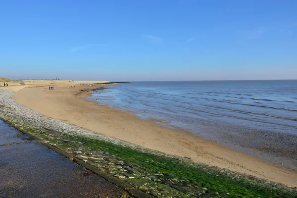 Αμμώδης παραλία σε Essex — Φωτογραφία Αρχείου