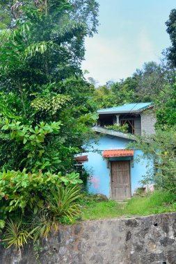 Hillside shack
