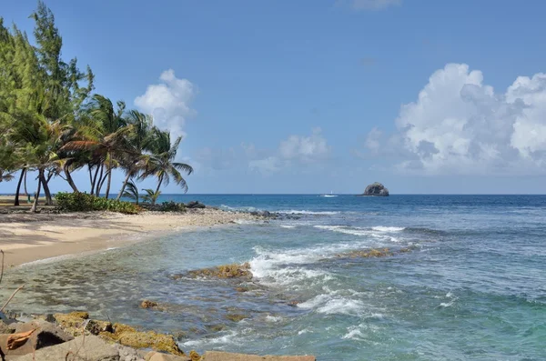 Gros Islet a st lucia — Foto Stock