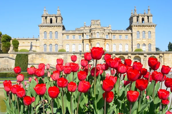 Palácio Blenheim com tulipas vermelhas em primeiro plano — Fotografia de Stock