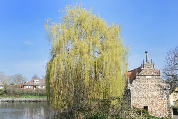 Old mill building with large willow tree — Stock Photo, Image