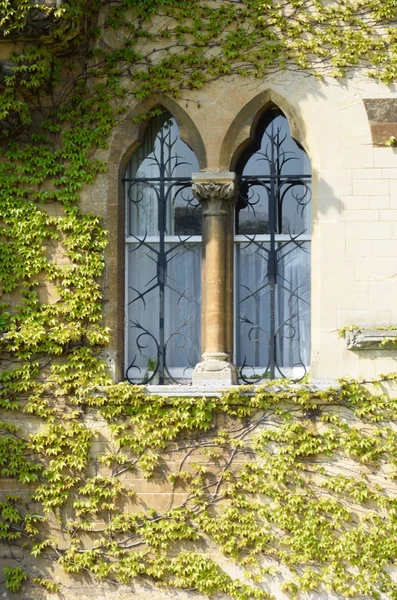 Ivy rodeando la vieja ventana arqueada — Foto de Stock