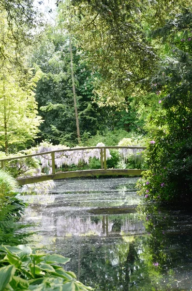 Puente de madera sobre un pequeño arroyo forestal — Foto de Stock