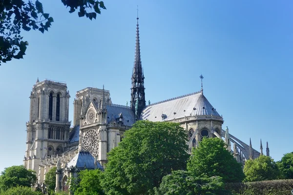 Notre Dame dalla sciabica — Foto Stock