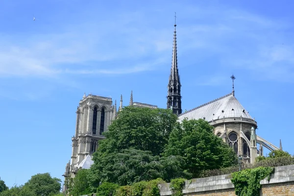 Catedral de Notre Dame del Sena — Foto de Stock