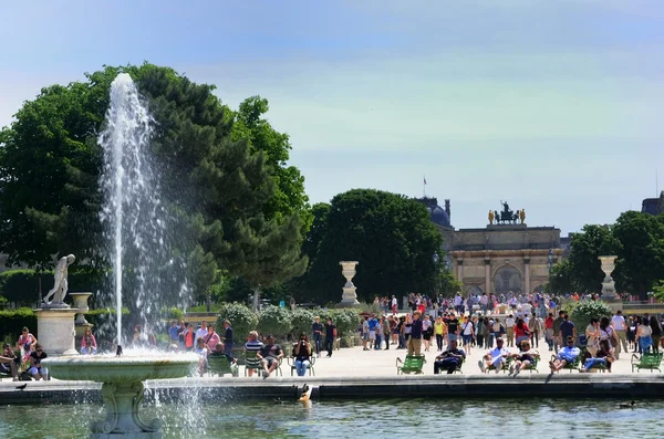 Schonbrunn палац Відня від задньої — стокове фото