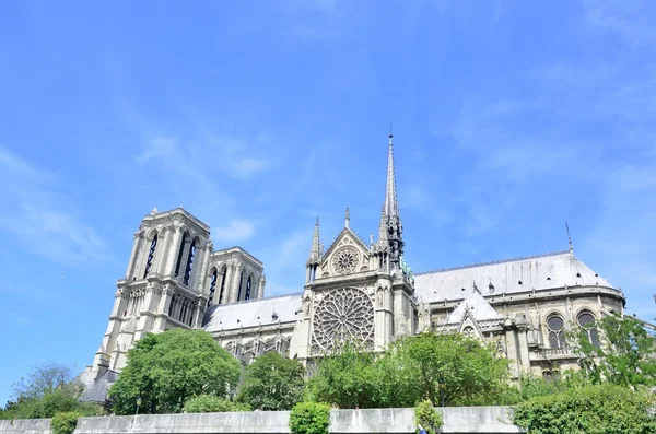 Cathedral of Notre Dame from river seine — Stock Photo, Image