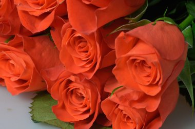 Bir demet kırmızı gül