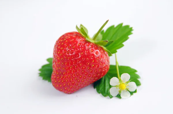 Reife Erdbeeren und Blätter — Stockfoto