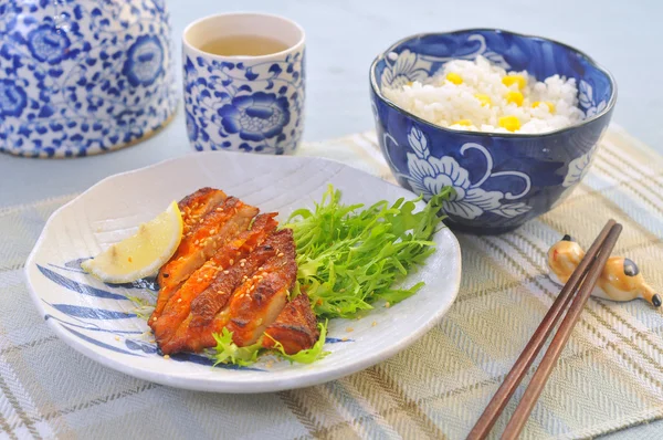 Roast chicken with rice — Stock Photo, Image