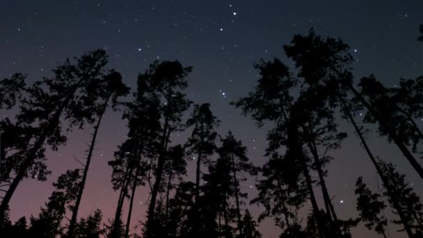 Timelapse noche y amanecer — Vídeos de Stock