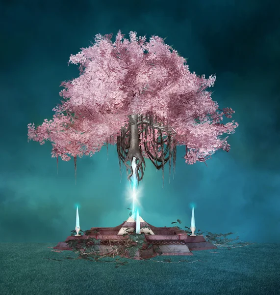 Albero magico rosa — Foto Stock