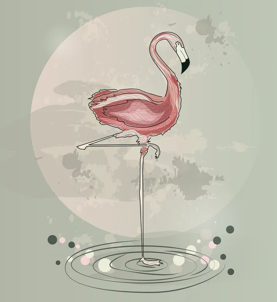 Flamingo sobre um fundo verde e rosa — Vetor de Stock