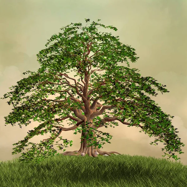 Alter Grüner Baum Auf Dem Gipfel Des Verzauberten Hügels — Stockfoto