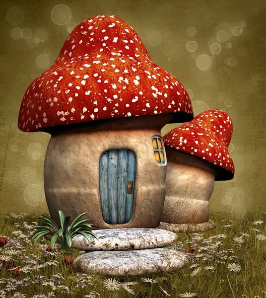 House like mushroom at meadow — Stock Photo, Image