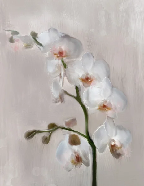 Kwiaty Orchid oddział — Zdjęcie stockowe