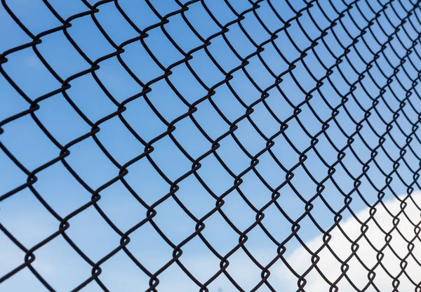 Проводной забор — стоковое фото