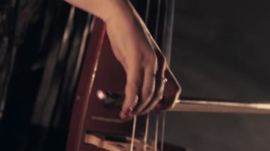 Onun enstrümanını çalan profesyonel çellocu