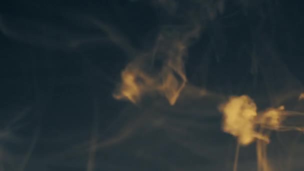 Kouř na černém pozadí — Stock video