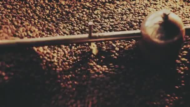 Grãos de café perfumados na torradeira — Vídeo de Stock