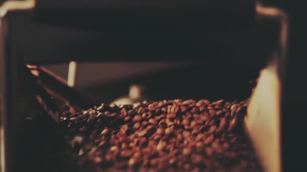 Άρωμα κόκκων καφέ στο roaster — Αρχείο Βίντεο