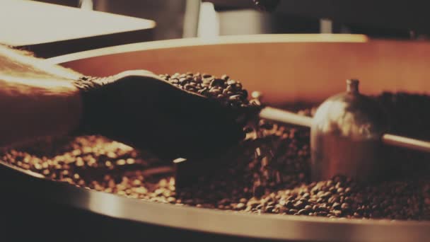 Mans hand pours coffee beans near the roaster — Vídeo de Stock