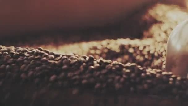 Pachnące ziarna kawy w piecu — Wideo stockowe