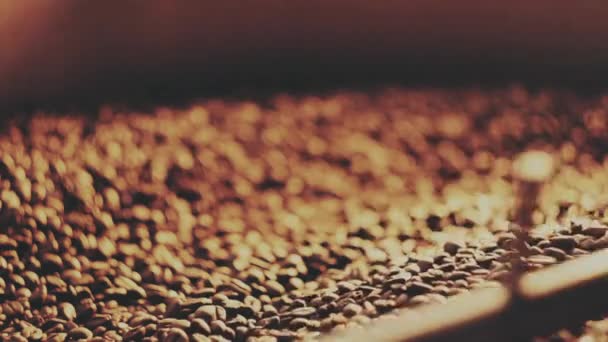 Fragrant coffee beans in the roaster — Stock Video