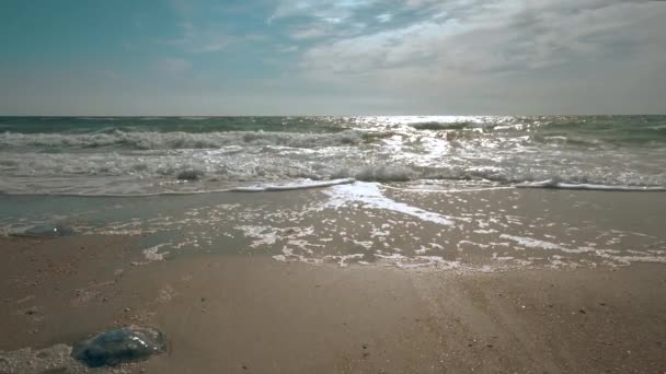 Mavi su dalgaları yüzey, arkaplan — Stok video