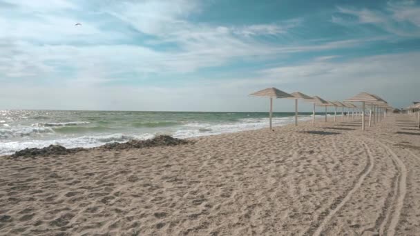 Paraguas en la playa cerrada vacía durante la pandemia de coronavirus — Vídeo de stock